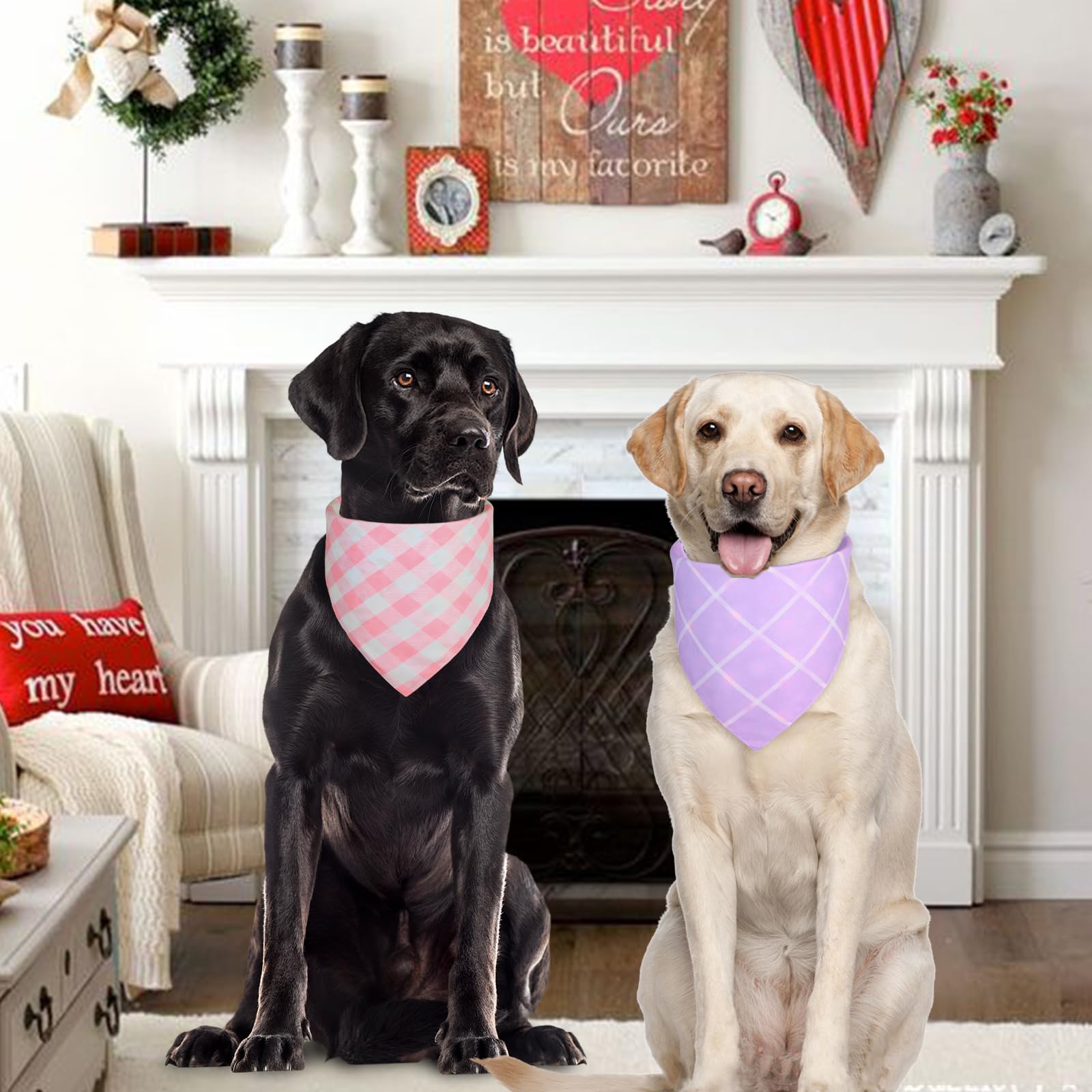 Summer Dog Bandanas Girl XLarge 2PCS, Purple Pink Daisy Scarf, Durable Triangle Reversible Spring Bibs Handkerchief for Puppy Pet
