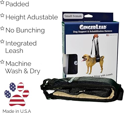 Miniatura 3 de GINGERLEAD Arnés de soporte para eslinga de perro, SM hembra se ajusta a mascotas de tamaño pequeño a mediano o perros de pecho más ancho como