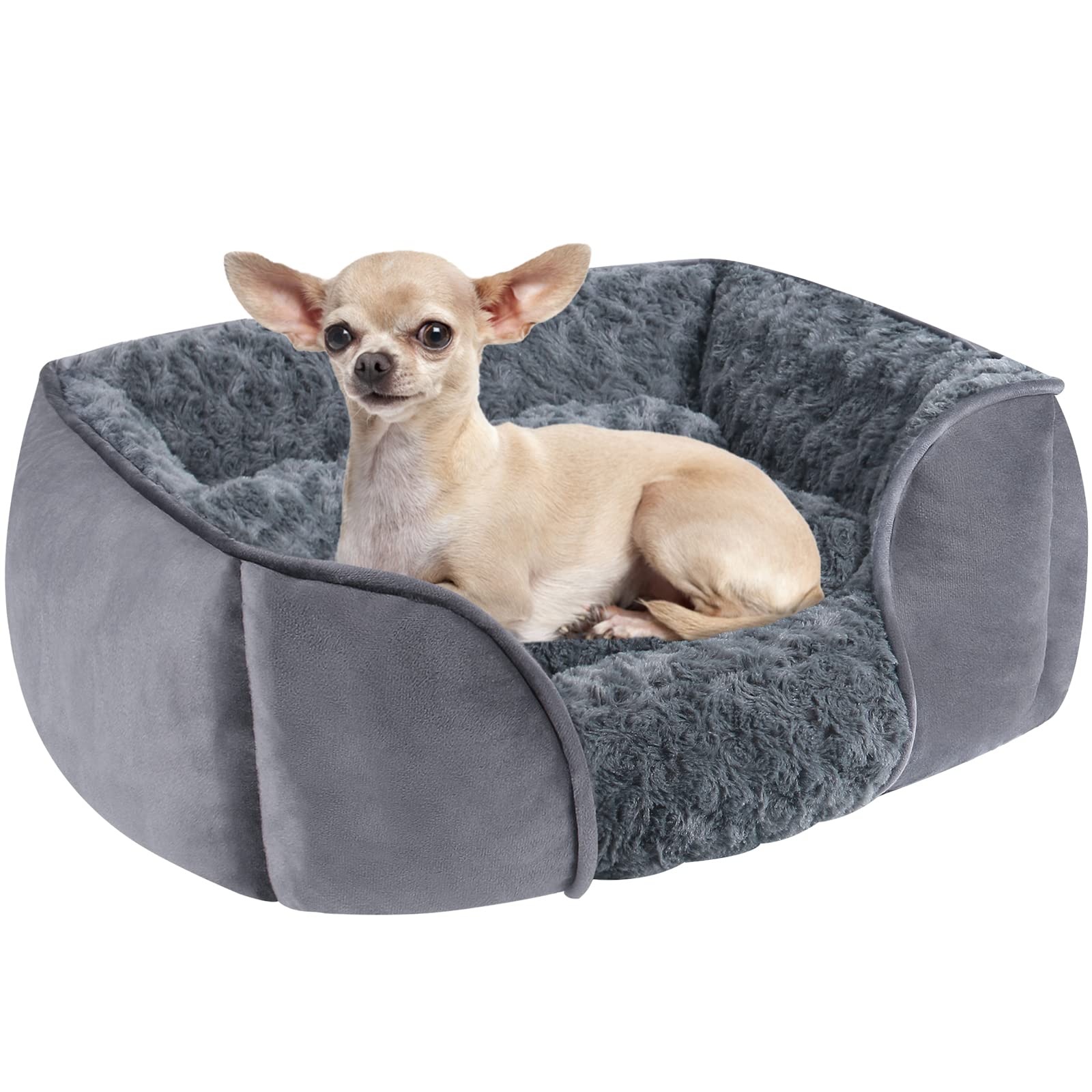 Dog Beds for Small Dogs, Velvet Bed, Calming Dog Sofa Beds, Anti