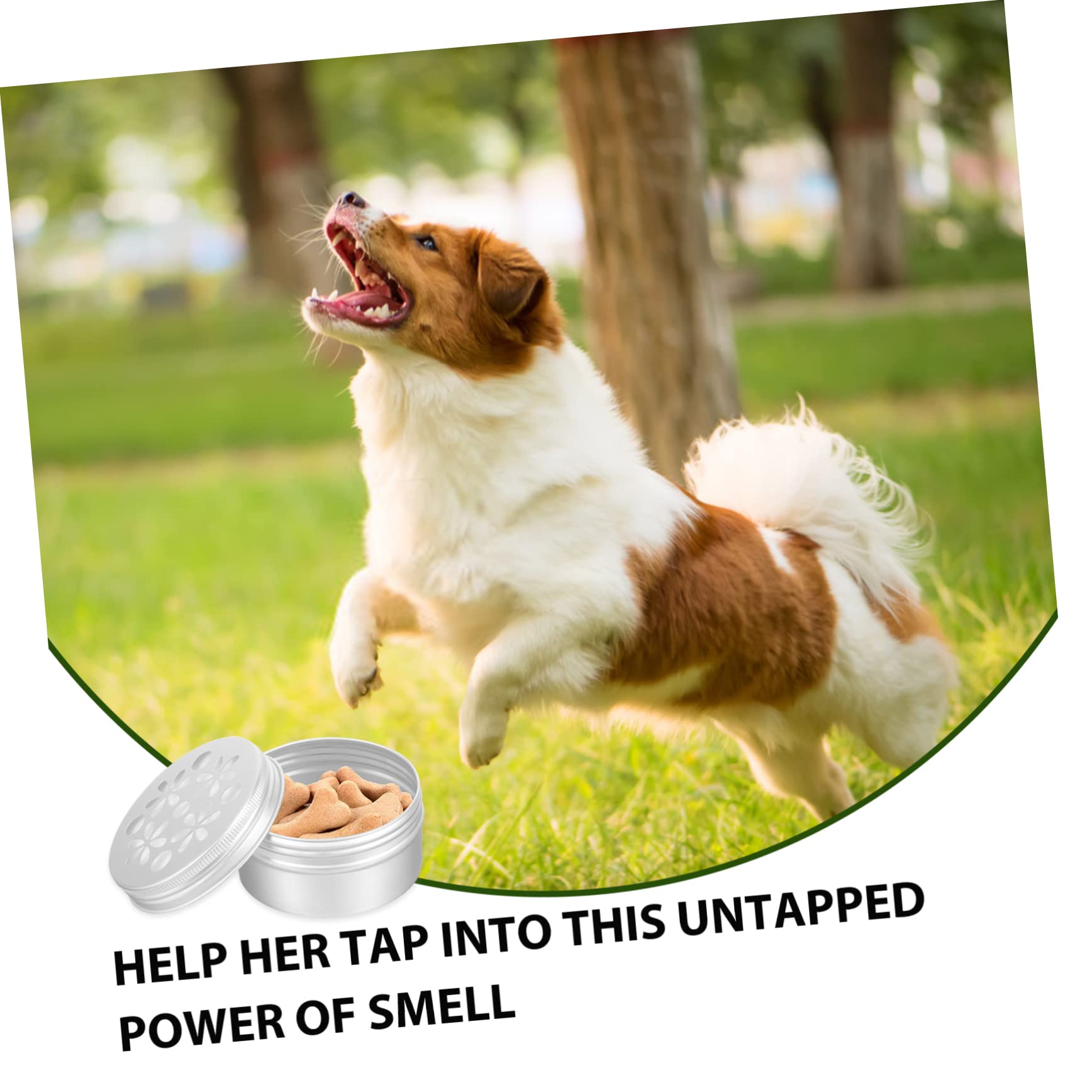 Caja de Entrenamiento Olfativo para Perros de Aluminio Resistente a Mordeduras, Capacidad 80ml, Paquete de 10 Unidades para Adiestramiento de Perros en Casa
