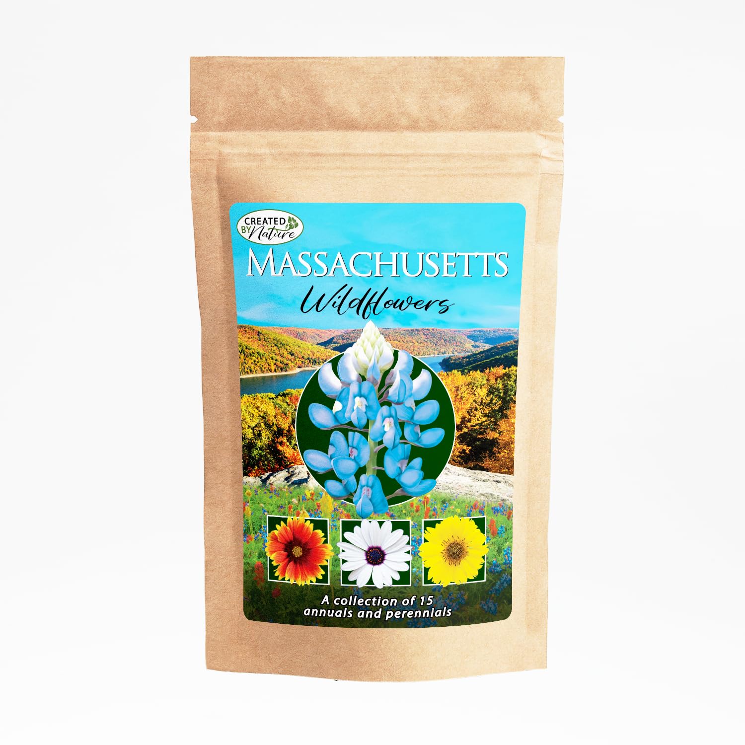 Created By Nature Massachusetts Wildflower Seed Mix