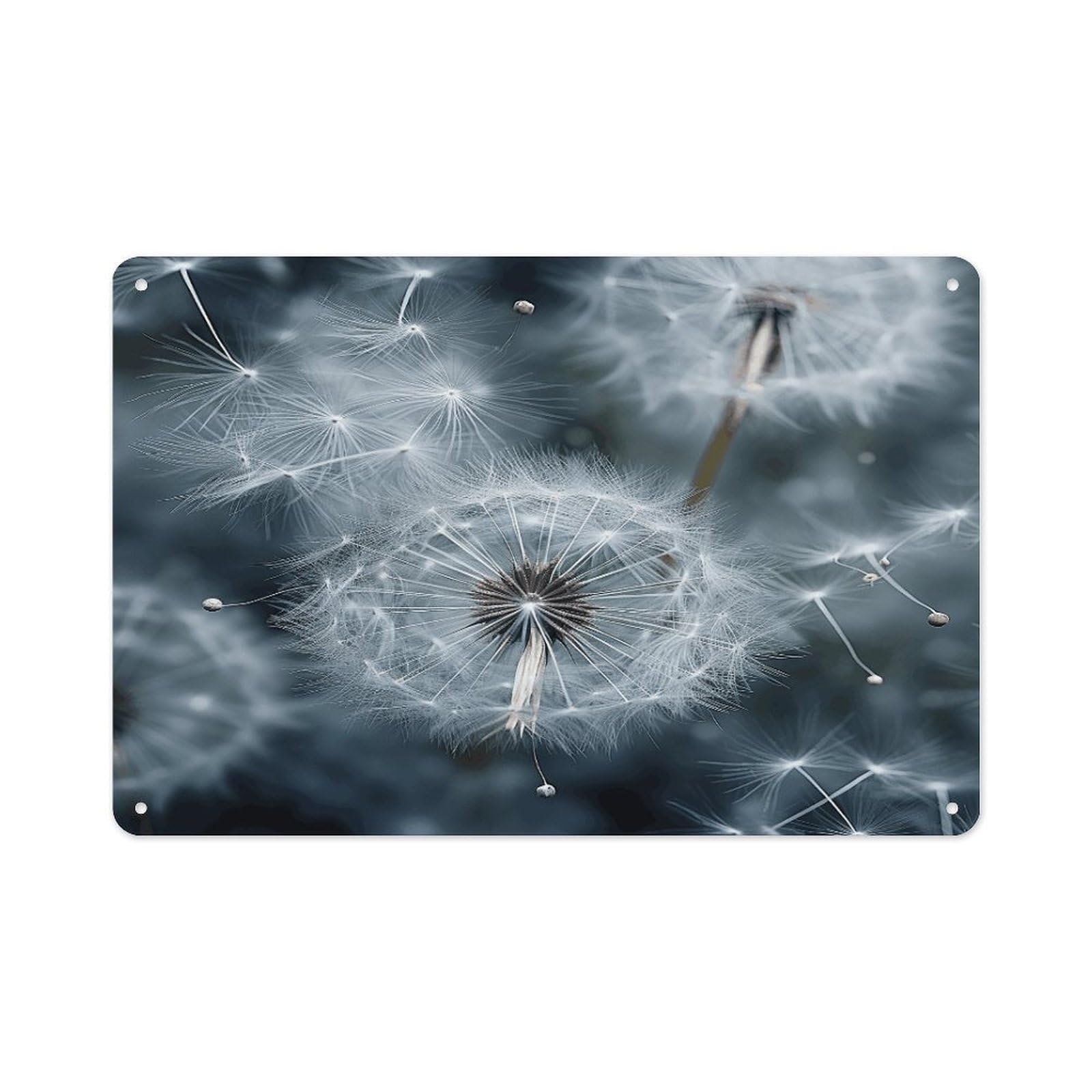 Btcowzrv Style Dandelion Seeds Pictures Metal Sign 7.9 X 11.8 Inch, Aluminum Sign Wall Art Decor Easy To Install, Decorative Plaque For Home Bar Kitchen Pub Shop Garage