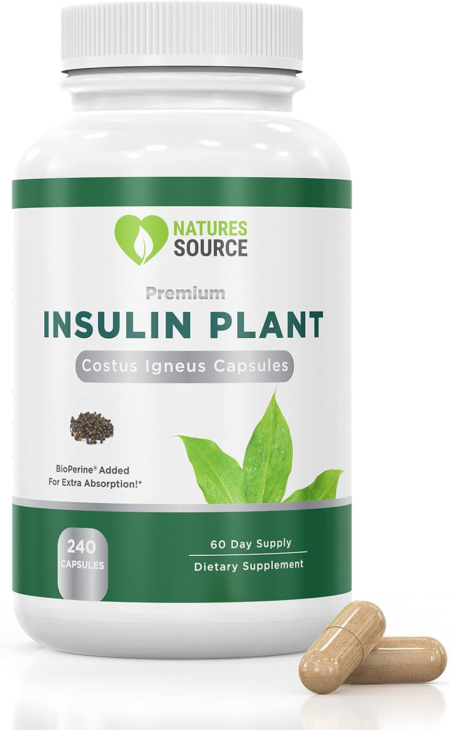NATURES SOURCE Insulin Plant Capsules (Costus Igneus) - Complete Health Management Program Including Cookbook, Diet & Workout Plan - 60 Day Supply - Made in the USA