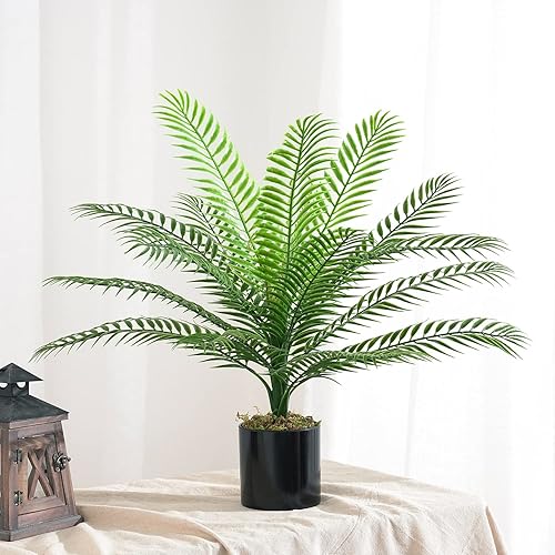 Vista 8 de CATTREE Planta artificial de palmera, plantas tropicales falsas con hojas de plástico de vegetación sintética, arbustos de helecho boston bushe