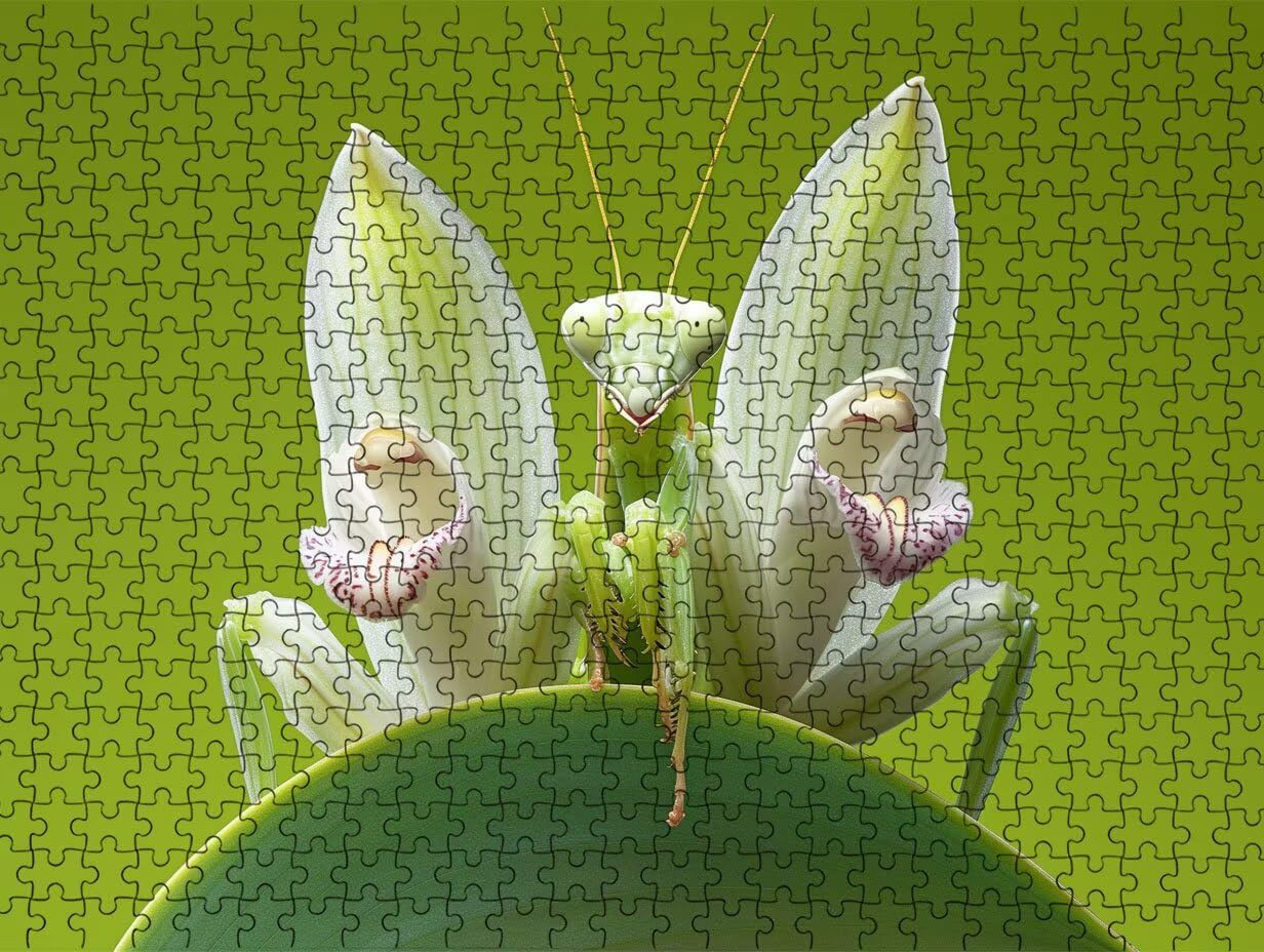 Puzzle dla dorosłych, 5000 elementów, zielone ośmiornice, wyzwanie dla rodziny, gry zręcznościowe, dla dorosłych, wyzwania, prezent dla przyjaciół, R2KH-546