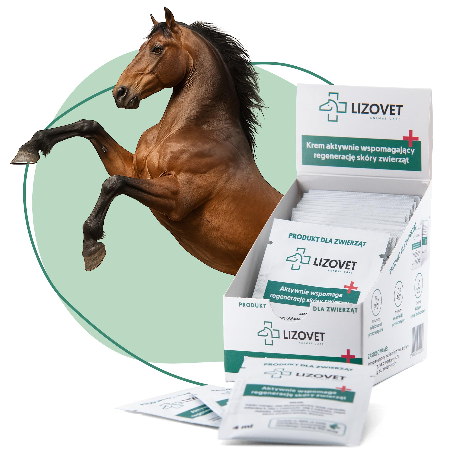 Hautpflege für Tiere, unterstützend bei der Hautregeneration, regenerationsförderndes Mittel, Salbe 40x4 ml, pflegend, antibakteriell, hydratisierend, geeignet für Pferde, Hunde und Nutztiere | Antibakteriell, hydratisierend, pflegend, für Pferde, Hunde u