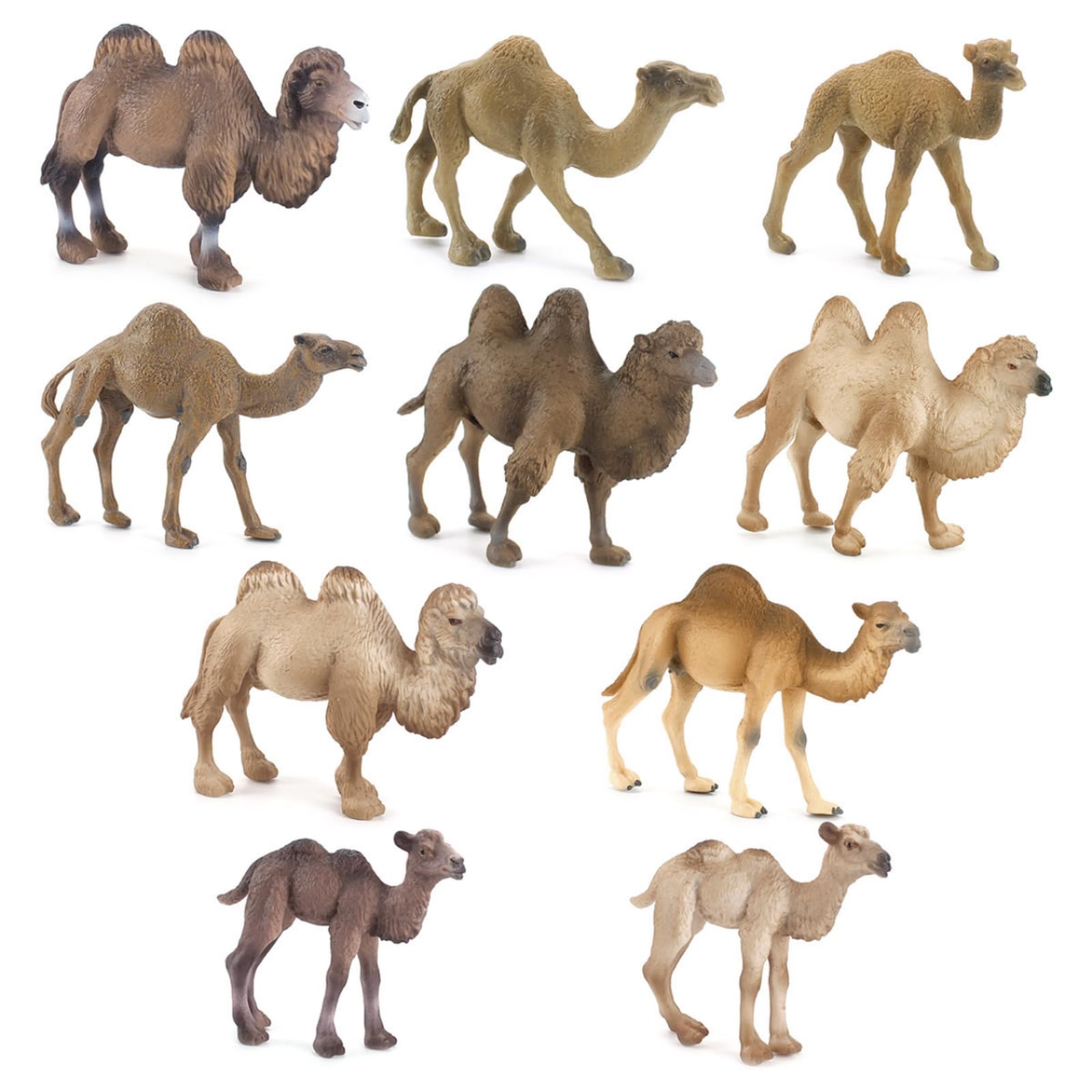 Colcolo Figurina Cammello Figurina Dromedario Miniatura Modello Animale Scultura Realistica in PVC Solido Del Accurati Adatta