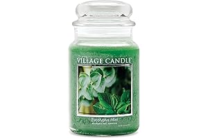 Eucalyptus Mint Scented Candles by Village Candle