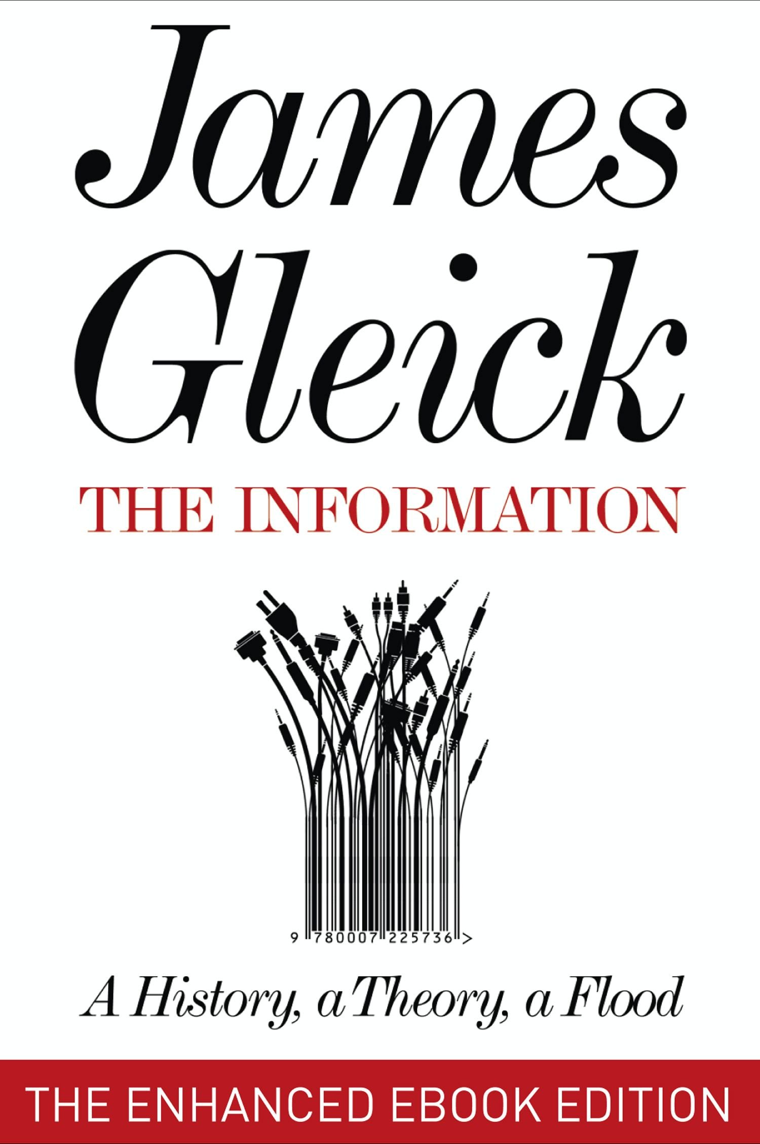The Information: A History, a Theory, a Flood