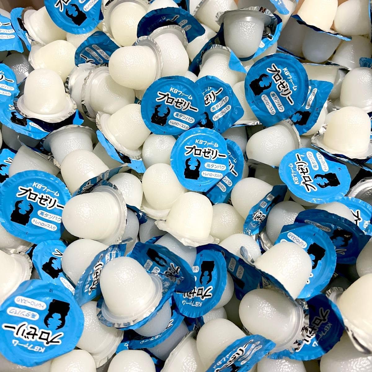 国産プロゼリー15000個KBファーム・カブトムシ クワガタ 【木ぼく】 KB