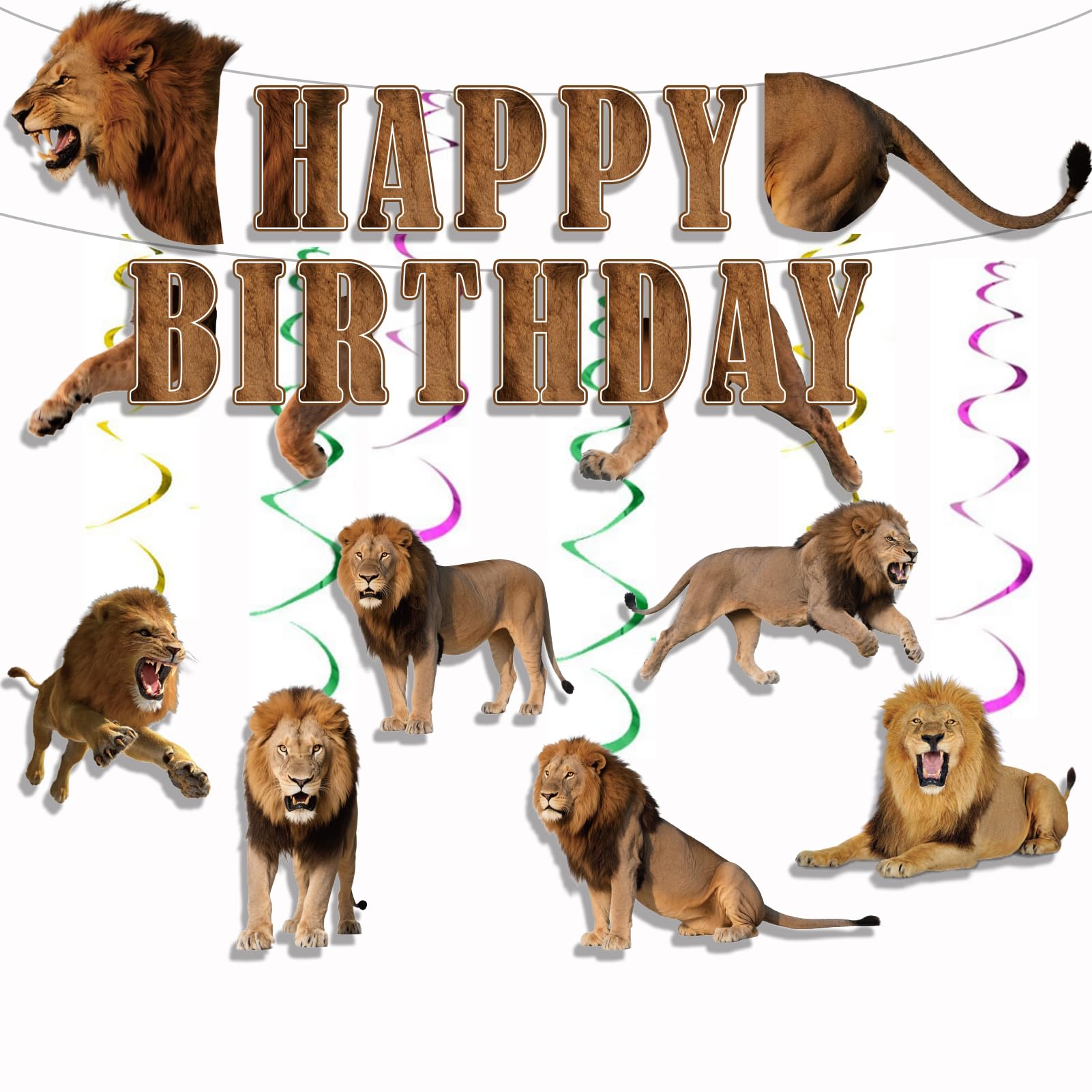 Photo 1 of Lion Birthday Party Banner and Swirl Set