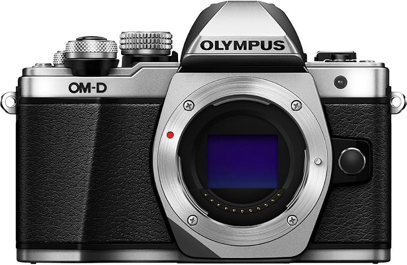 OM SYSTEM Olympus OM-D E-M10 Mirrorless Digital Camera (Silver)- Body only