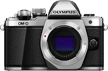 OLYMPUS E-M10 III ボディ カメラ バッテリー2個付属 OLYMPUS E-M10 III ボディ カメラ バッテリー2個付属