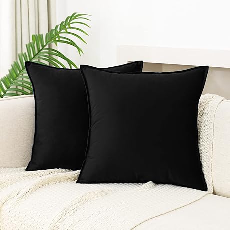 JIAHANNHA Black Velvet Throw Pillows (Set of 2)