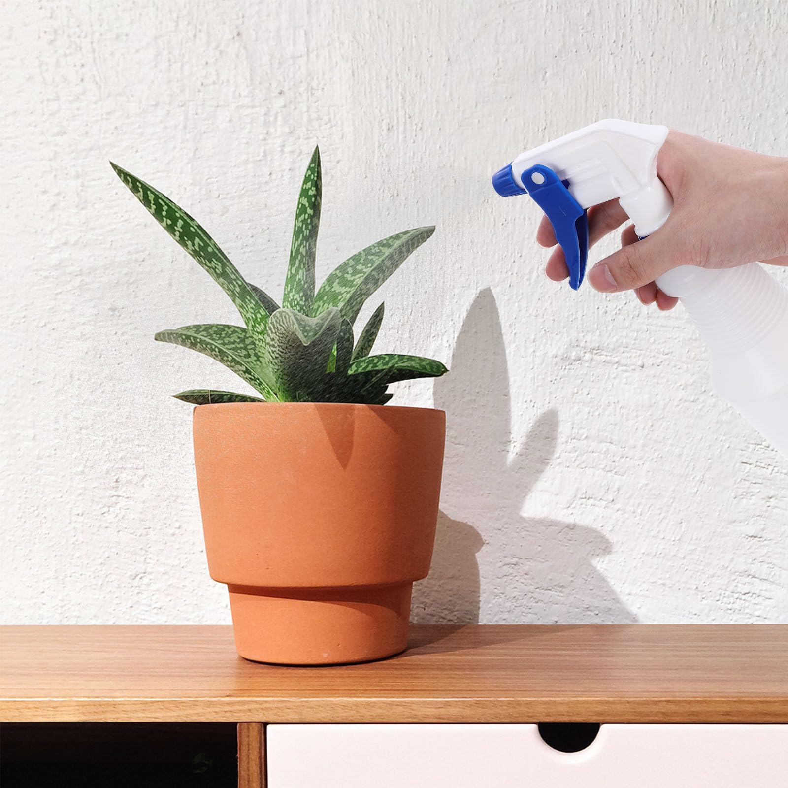 8 Botellas Pulverizadoras Pequeñas Fáciles de Transportar y Recargables Pe de Plástico de 750 Ml Boquilla Color Aleatorio para Riego de Jardinería Reutilizable