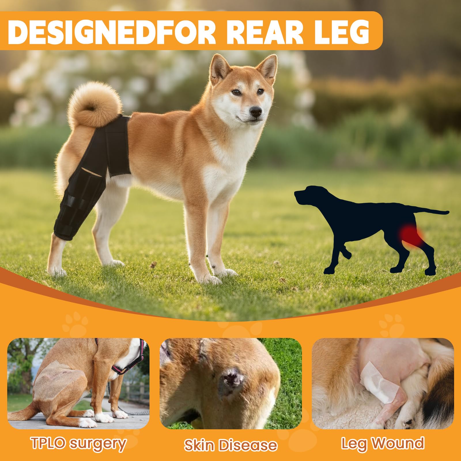 Rodillera para perro para pierna trasera – Soporte trasero ajustable con 2 barras de resina de polipropileno, ayuda a desgarrar ACL, lesiones de ligamentos, recuperación de displasia de