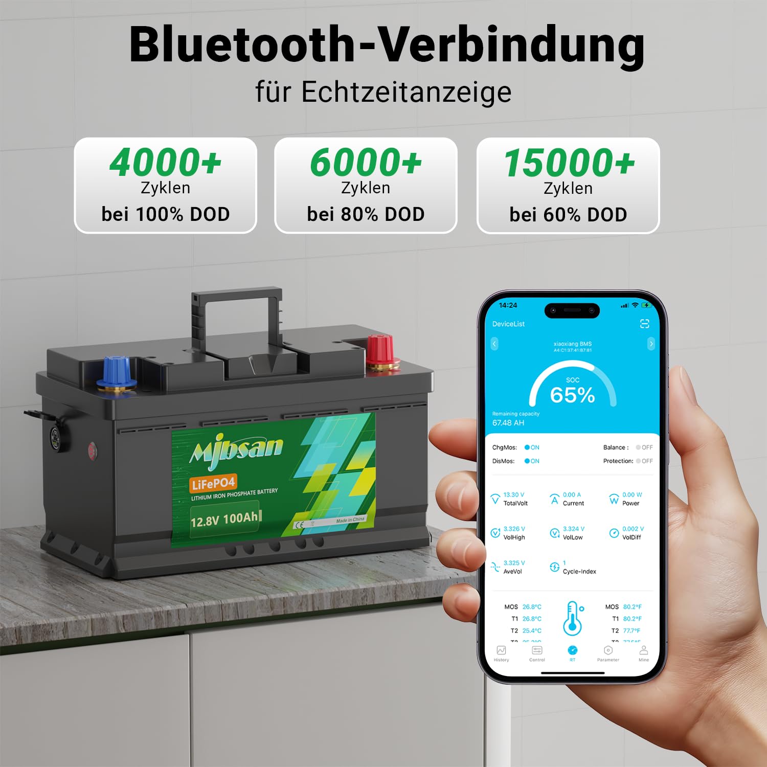 12 V 100 Ah LiFePO4-Lithium-Batterie RV Deep Cycle Battery, eingebautes 100 A BMS, 1280 W Ausgangsleistung für Wohnmobile, Solaranlagen, Marine, Energiespeicherung zu Hause und netzunabhängig