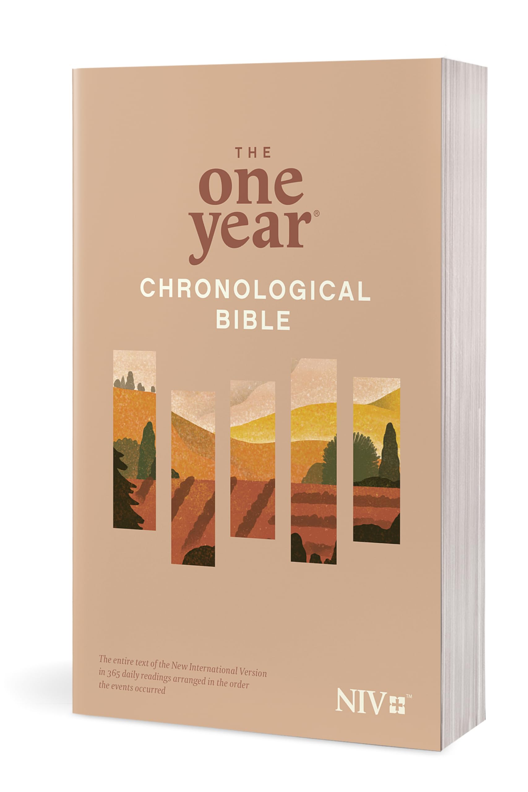 The One Year Chronological Bible NIV (Softcover) - Image 3