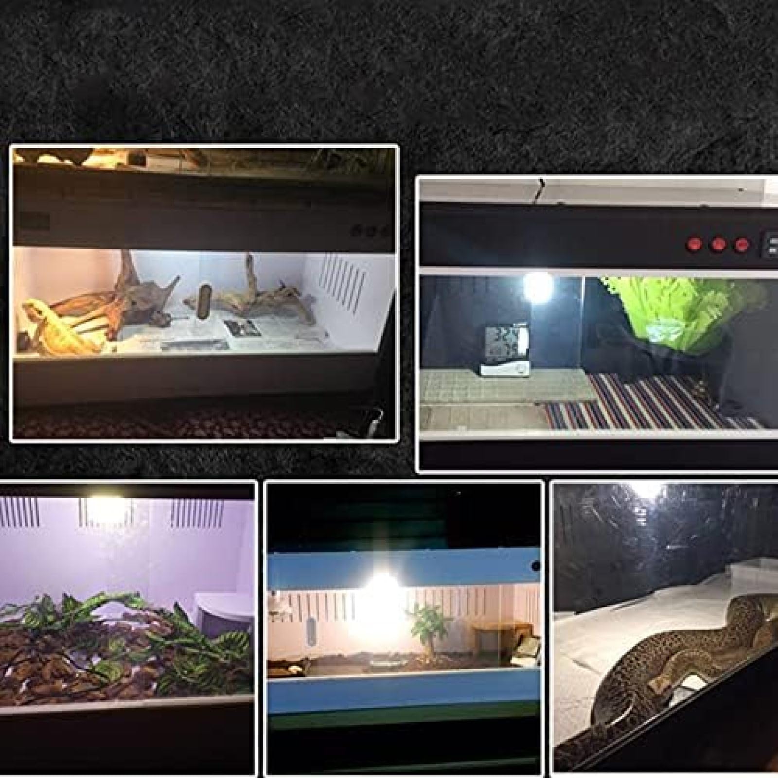Terrarios para Reptiles, Caja para Mascotas Trepadora De PVC Terrario De Temperatura Constante, Fácil De Montar Alimentación Ventilada Transparente para Lagarto Tortuga Araña Serpiente Erizo Gecko