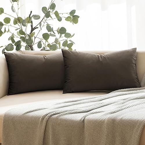 ANRODUO Paquete de 2 fundas de almohada decorativas de terciopelo café oscuro, fundas de cojín europeas, suaves, rectangulares, acogedoras,