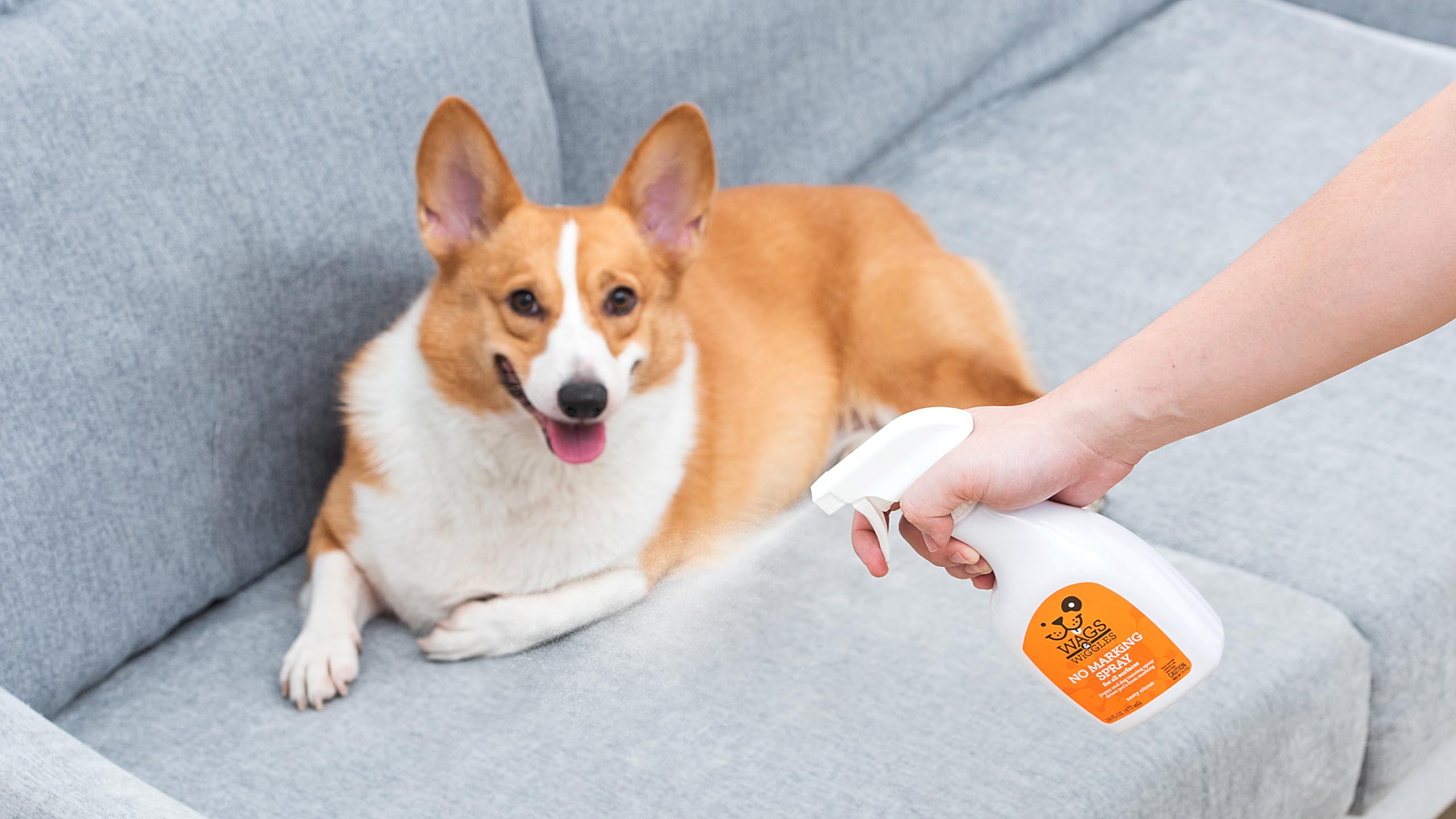 Wags & Wiggles No Marking Deterrent spray treningowy dla psów – środek odstraszający pies, środek odstraszający psiusiu i mocz, bez oznaczeń, idealny do treningu nocnego