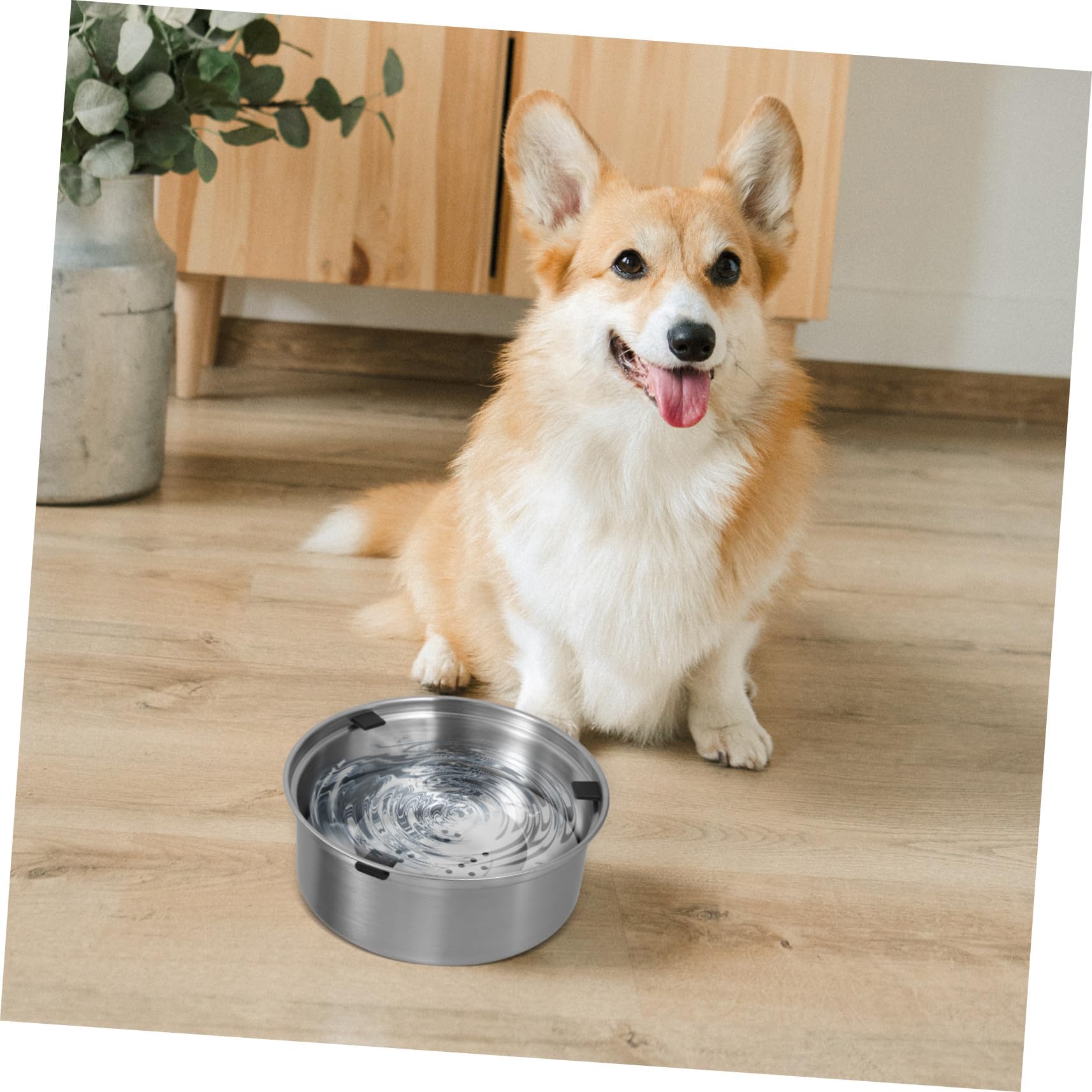 Edelstahl Napf für Hunde mit Tropffreiem Design und Schwimmender Wasserschale Großer Hunde Wassernapf zur Regulierung der Wasseraufnahme Beim Haustier