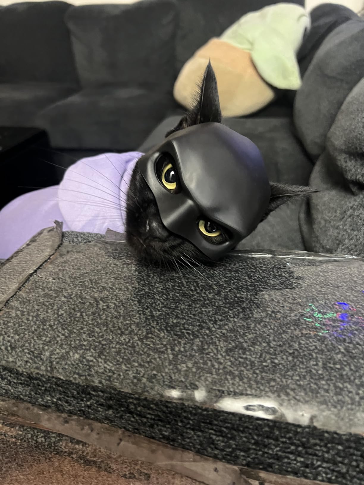 Cat Mask Cosplay Halloween Costume