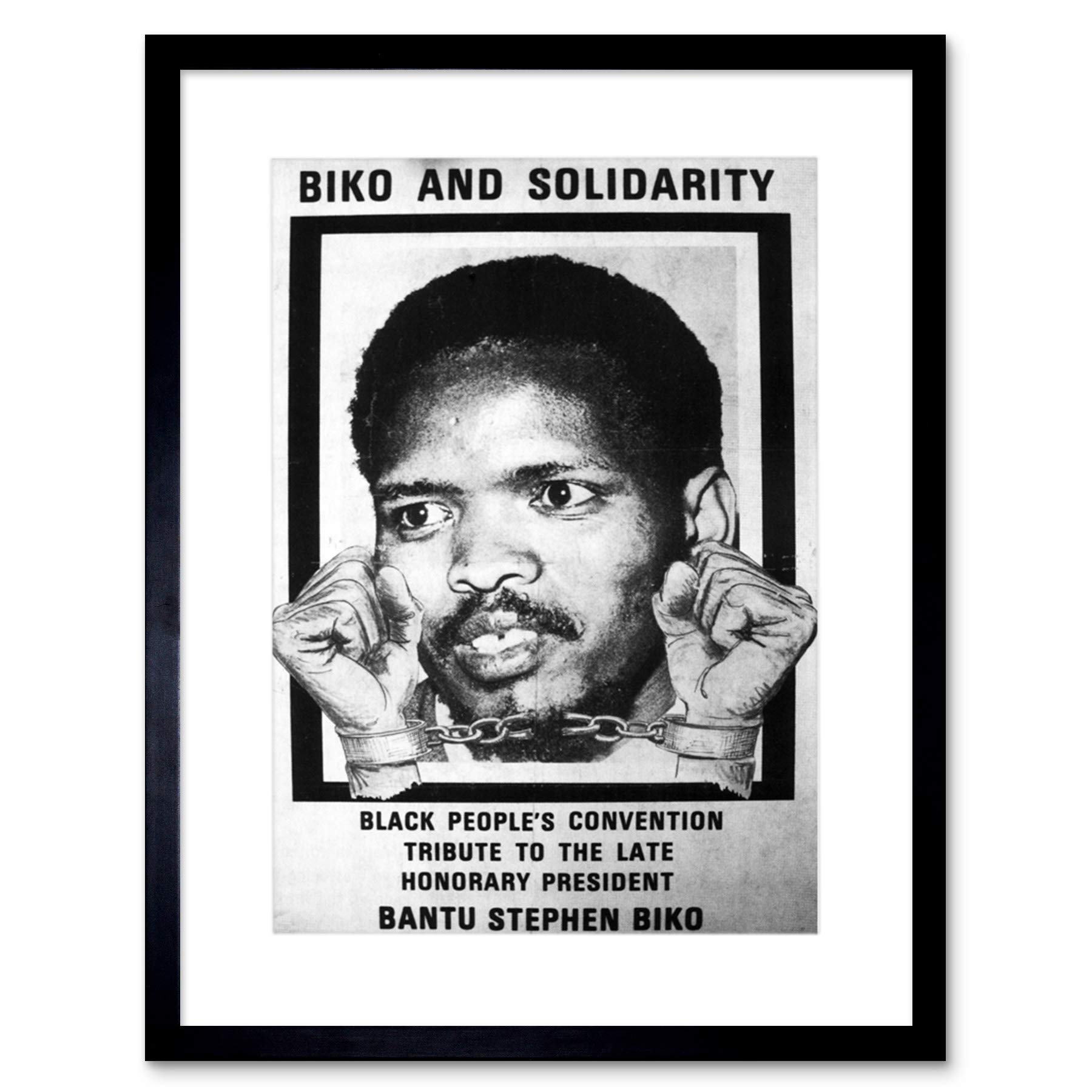 Wee Blue Coo POLITICAL STEVE BIKO ANC APARTHEID SOUTH AFRICA FRAMED ART PRINT MOUNT B12X4583