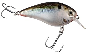 Strike King KVD 1.5 8個セット Strike King KVD 1.5 8個セット ストライク キングのKVD 1.5