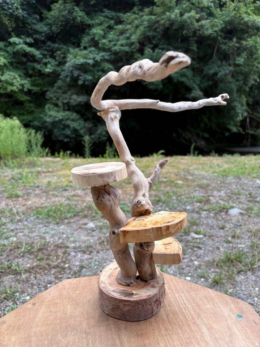 流木インテリア バードジム バードアスレチック ハンドメイド 流木