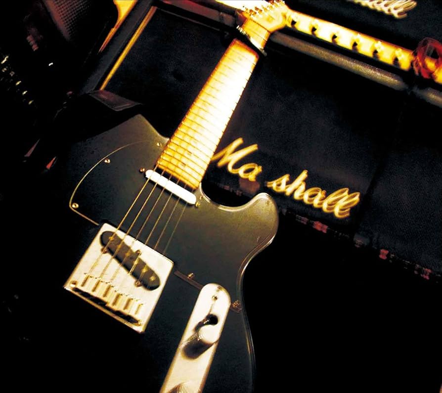 LOSTAGE Guitar レコード　LP LOSTAGE / GUITAR / LP+CD / ￥2,700