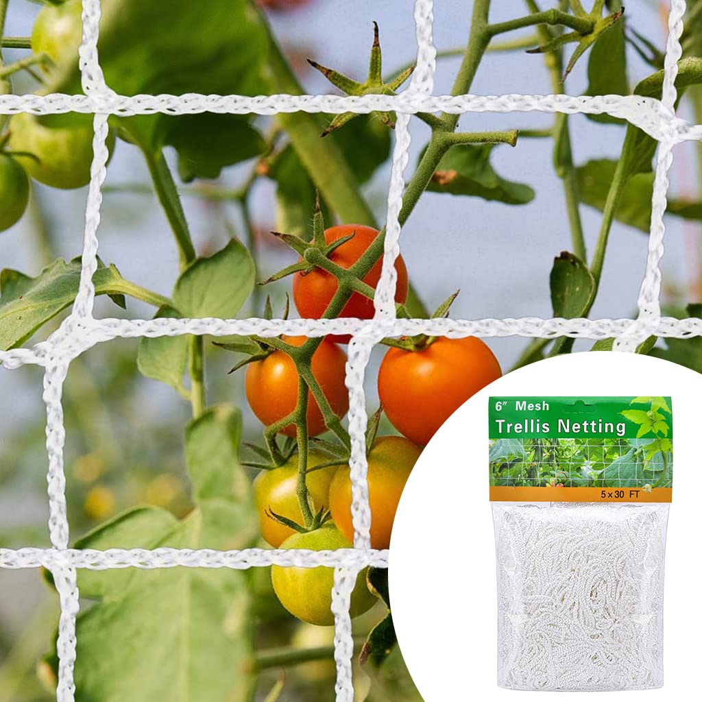 HASTHIP® 5*30 ft Creeper Plant Support Net For Agriculture And