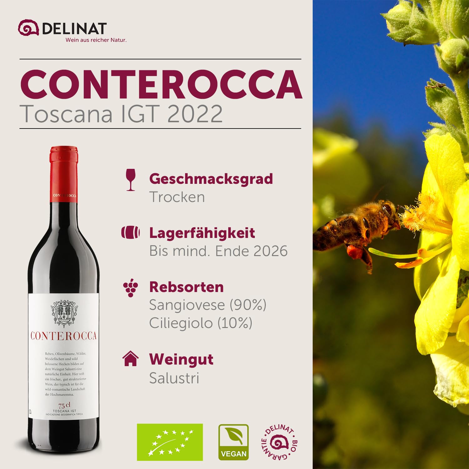 DELINAT Bio Rotwein Set Bella Italia – 6 Flaschen Italien Probierpaket | Rotwein aus den Rebsorten Primitivo, Ripasso & Nero d'Avola – 5x trocken, 1x halbtrocken, veganer Premium Wein 6 x 0,75l