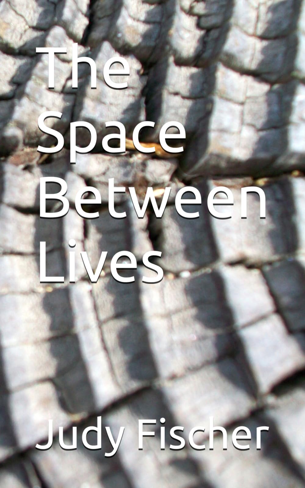 The Space Between Lives
