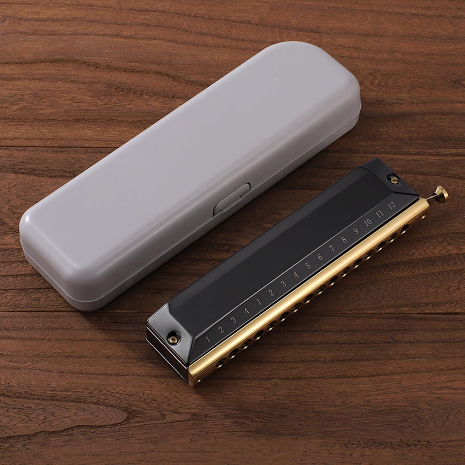 Blues Harmonica In C - Armónica diatónica de 12 agujeros, 48 tonos, órgano bucal en C, para adultos principiantes