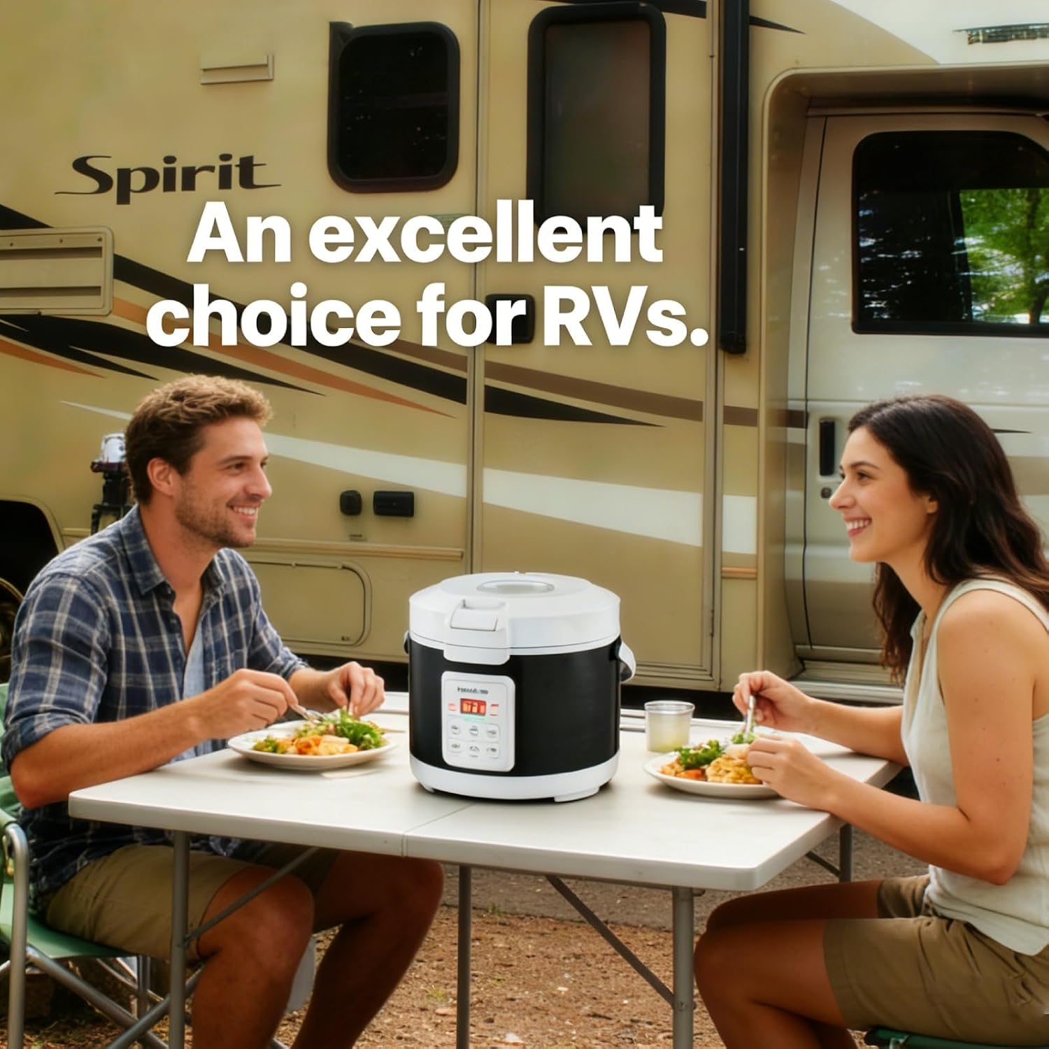 12V/24V Rice Cooker 3L Multifunctional Portable Rice Stove for Car/Truck with Steam Tray Heating and Keep Warm Function Dark Blue(30AC)