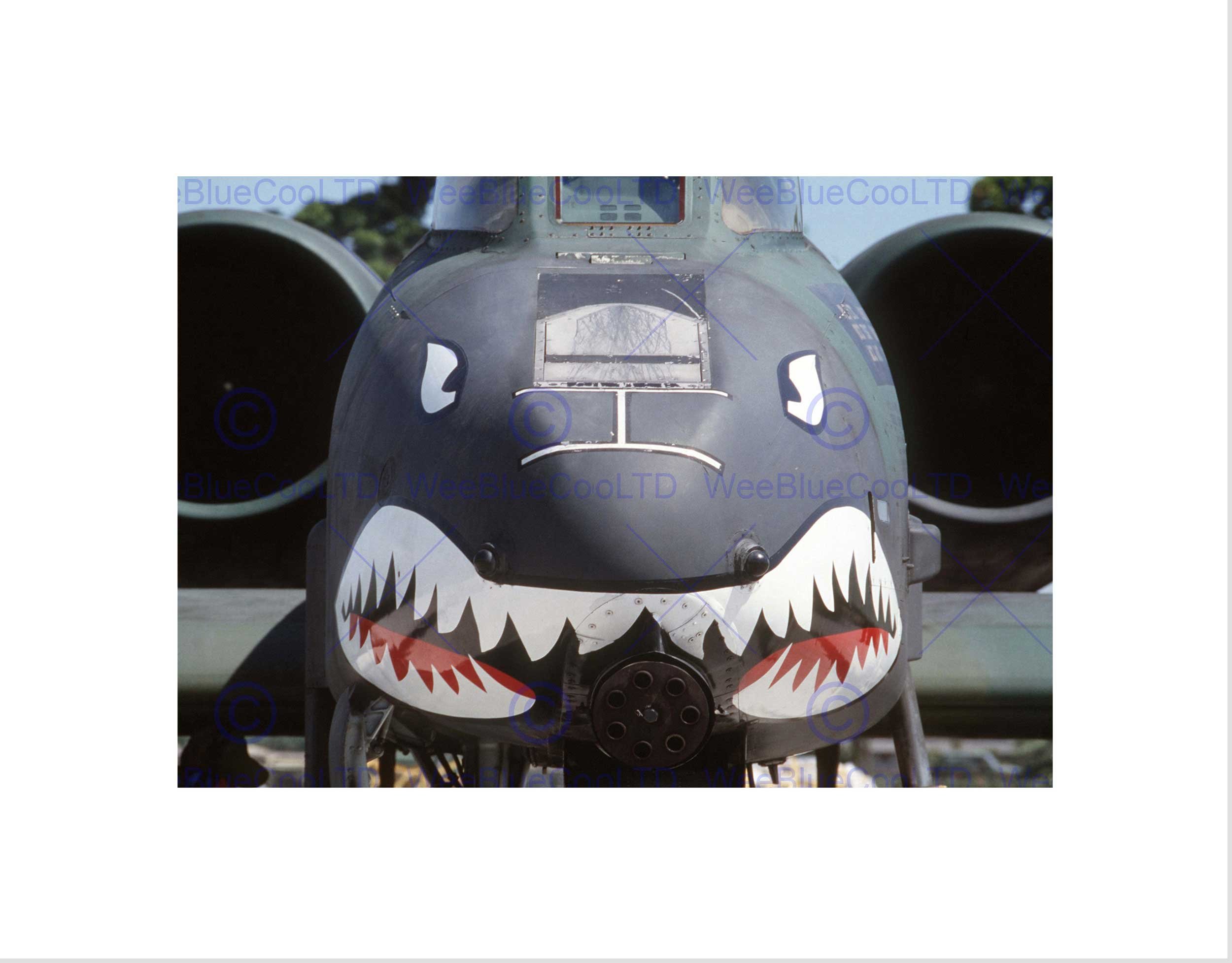 Wee Blue Coo Military Air Plane Fighter Jet Thunderbolt Nose Gun Shark Wall Art Print
