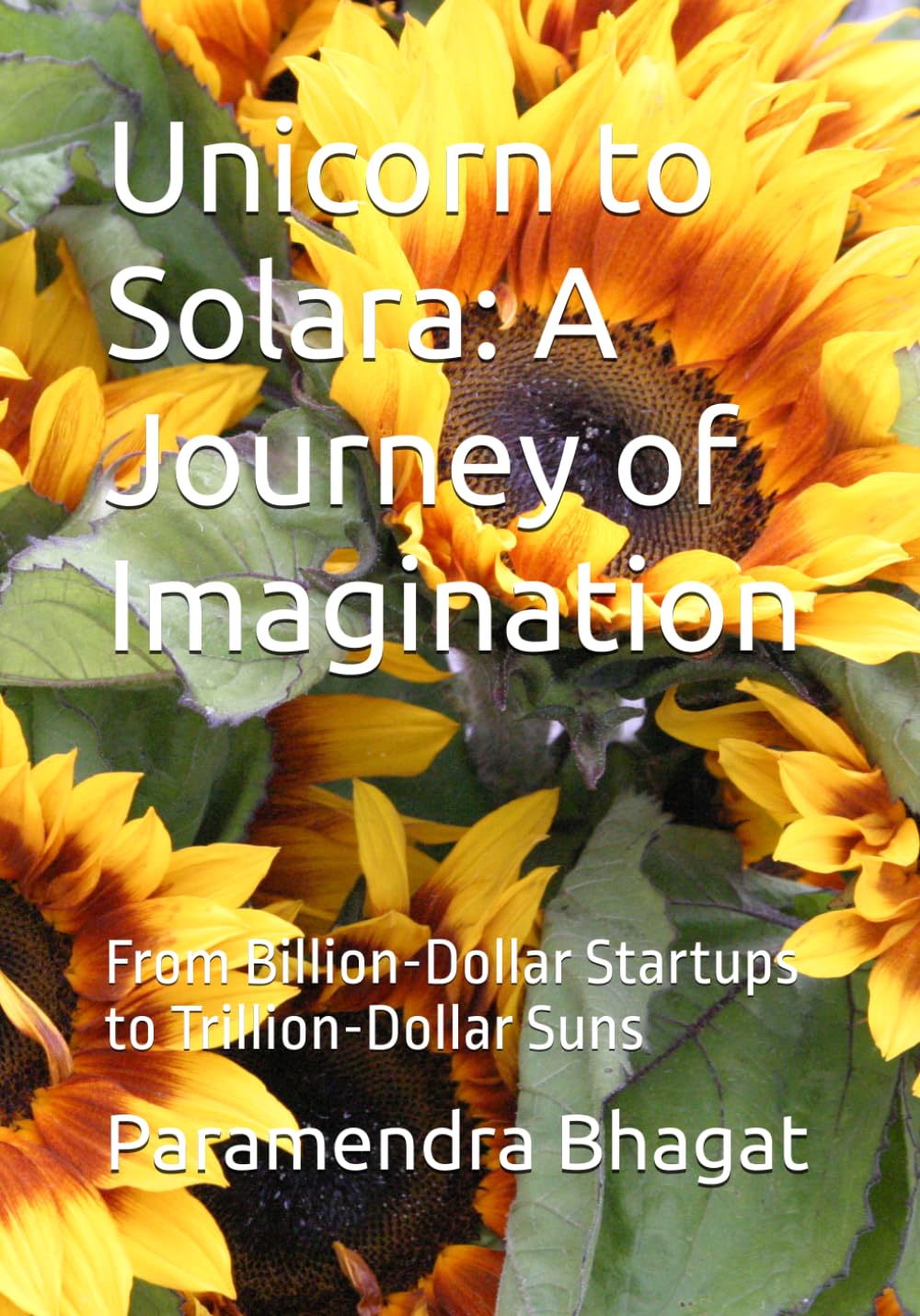 Unicorn to Solara: A Journey of Imagination: From Billion-Dollar Startups to Trillion-Dollar Suns