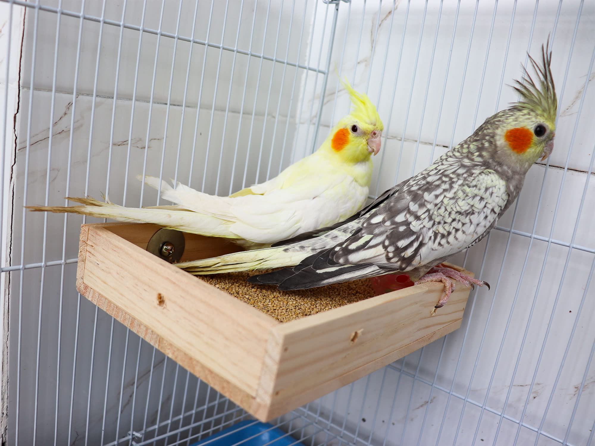 Bird Feeding Cups, Natural Wooden Parrot Perch Stand, Birds Food Dish, Parakeets Feeder Bowl, Cage Accessories for Small Animals Rat Hamster Guinea Pig Chinchillas Budgies Cockatiels Love Birds - image 4