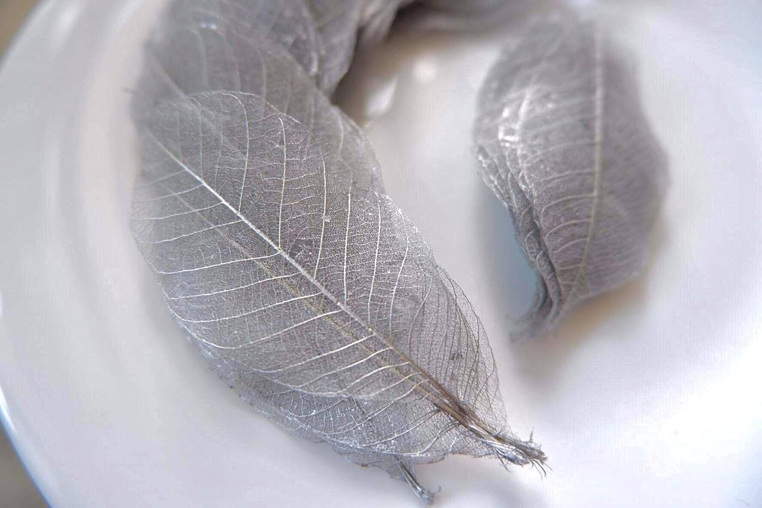 100 Pcs Skeleton Leaves Silver Leaves Natural Rubber Tree Leaves for Crafts Scrapbooking DIY Card Wedding Small Leaves (Silver)