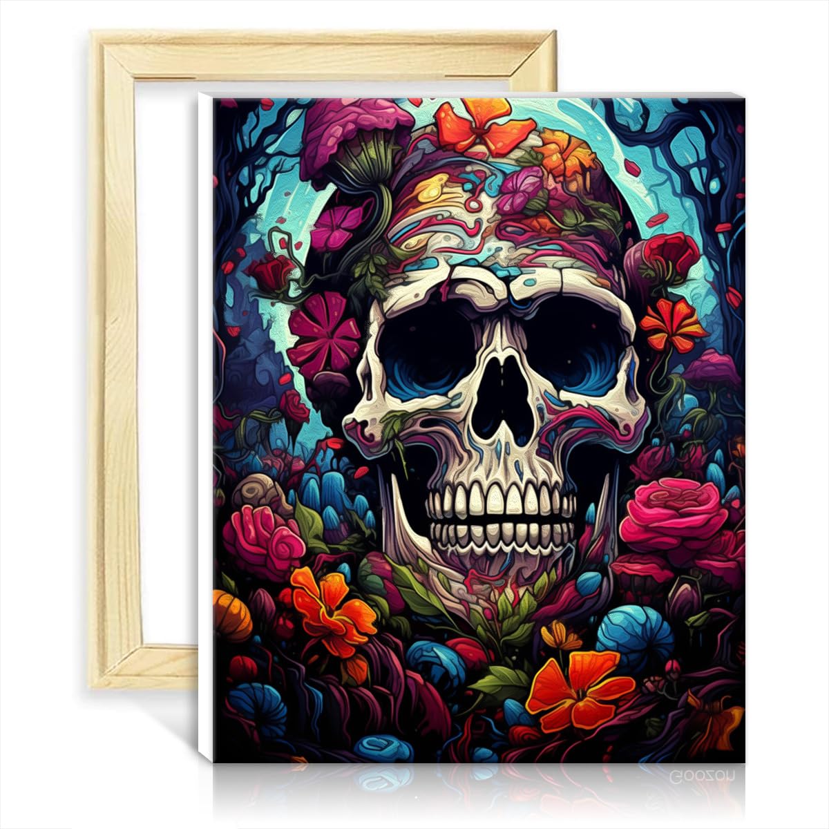 TANGFEIY Paintting Skull DIY Paint by Numbers Adults Beginner with Brushes and Acrylic Pigment on Creative Artwork for Home Decor No Frame(40x50cm)