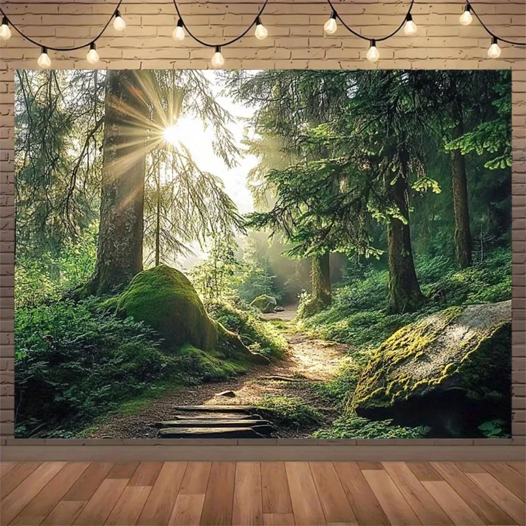 Papier peint 3D forêt lever du soleil en PVC autocollant pour décoration murale de salon