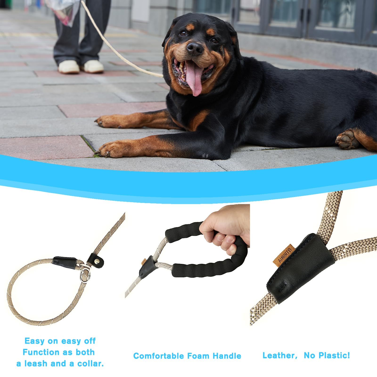 Verstellbare Retrieverleine 1,5 M – Reflektierend, Drehbar, Aus Starkem Nylon – Für Große & Kleine Hunde