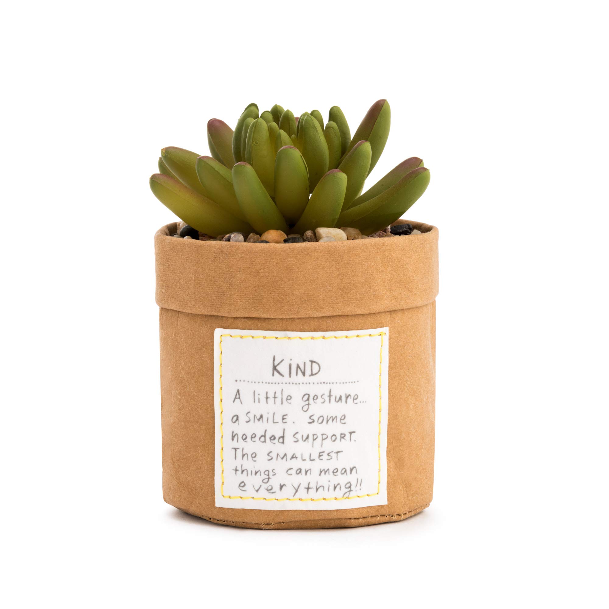 DEMDACO Luscious Green Succulent Plant Kindness Kind 3 x 5 Acrylic Tabletop Artificial Flower Arrangement