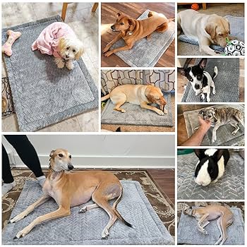 DOG IN BLANKET CDセット Amazon.com: Paw Ballet Dog Playpen, Foldable Cat Playpen