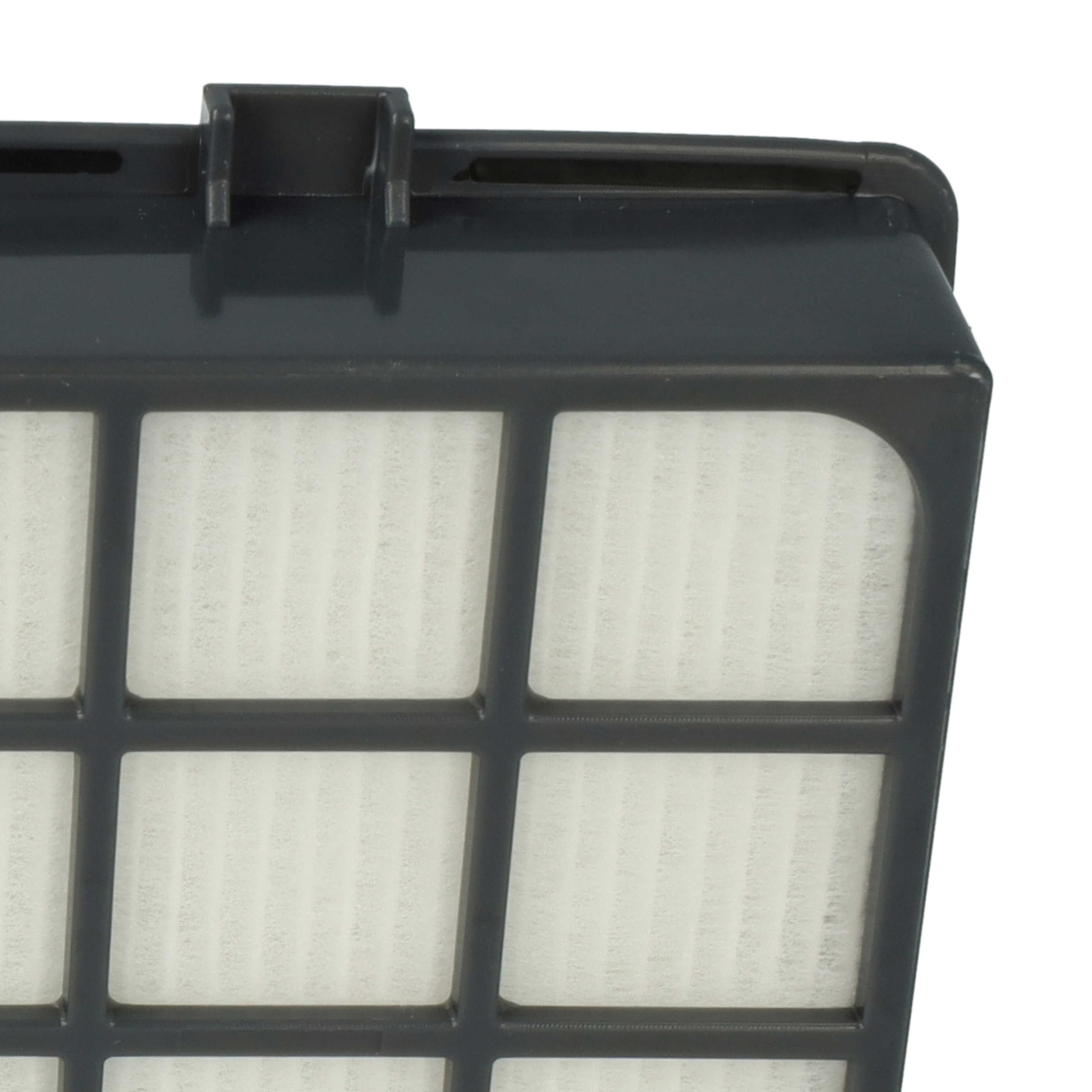 vhbw Set 10 filtros compatible con Rowenta Power XXL Home & Car RO3154EA