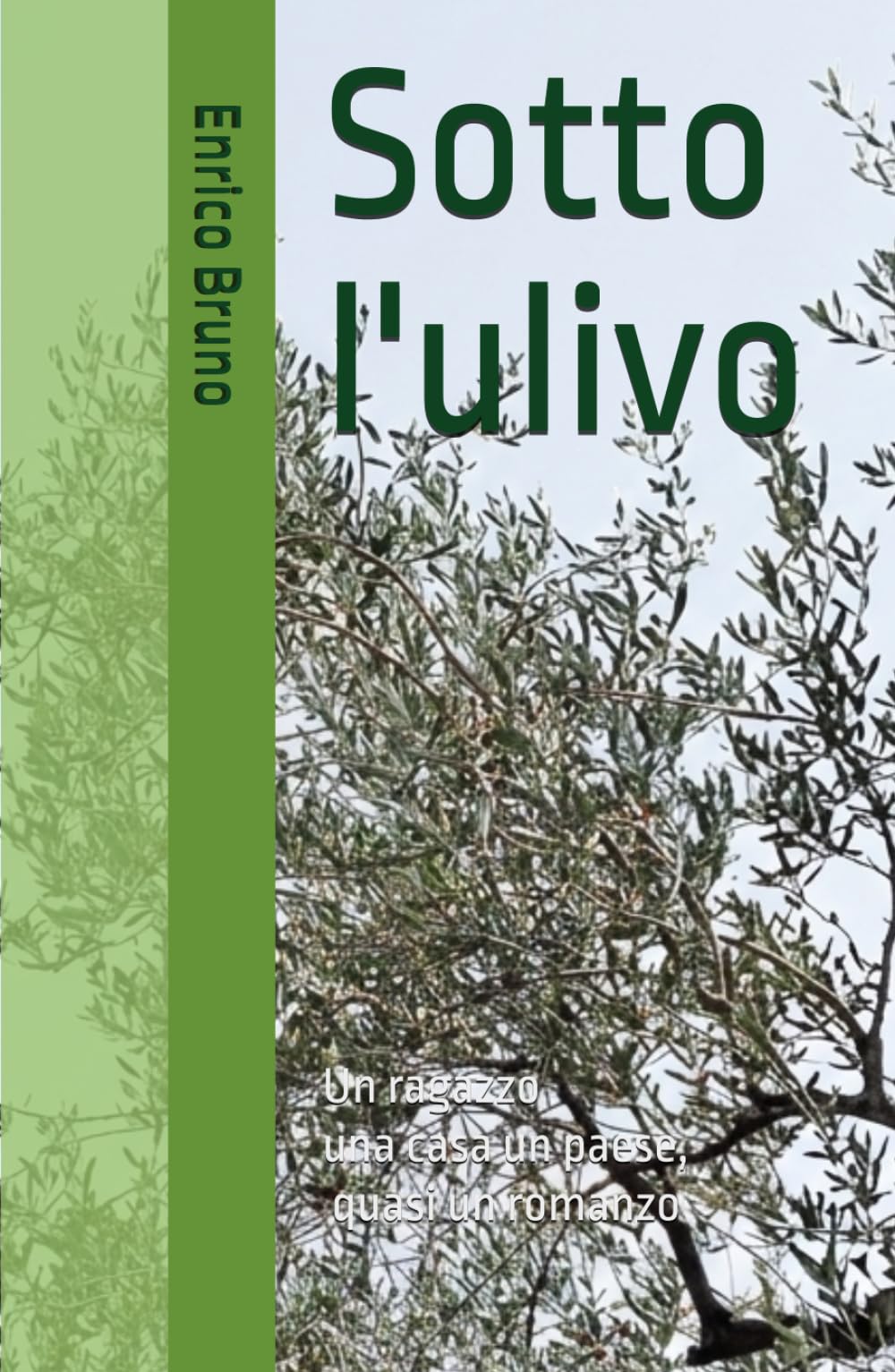 Sotto l'ulivo: un ragazzo una casa un paese, quasi un romanzo