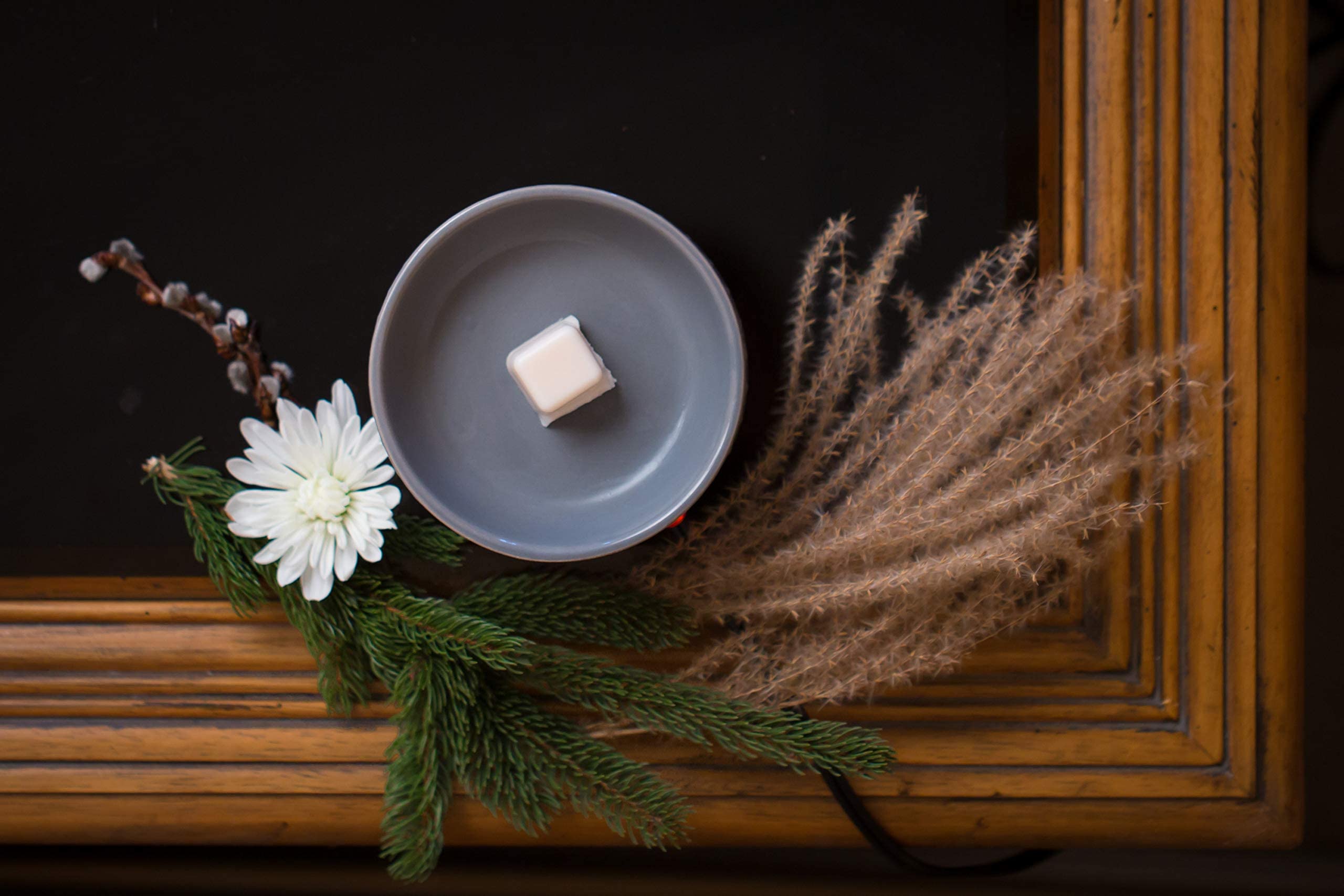 Aira Soy Tart – Cubi di cera di soia biologica, vegana, kosher, profumata con miscele di oli essenziali – No chimico 100% cera di soia scioglie per elettrico/lumini Postiano