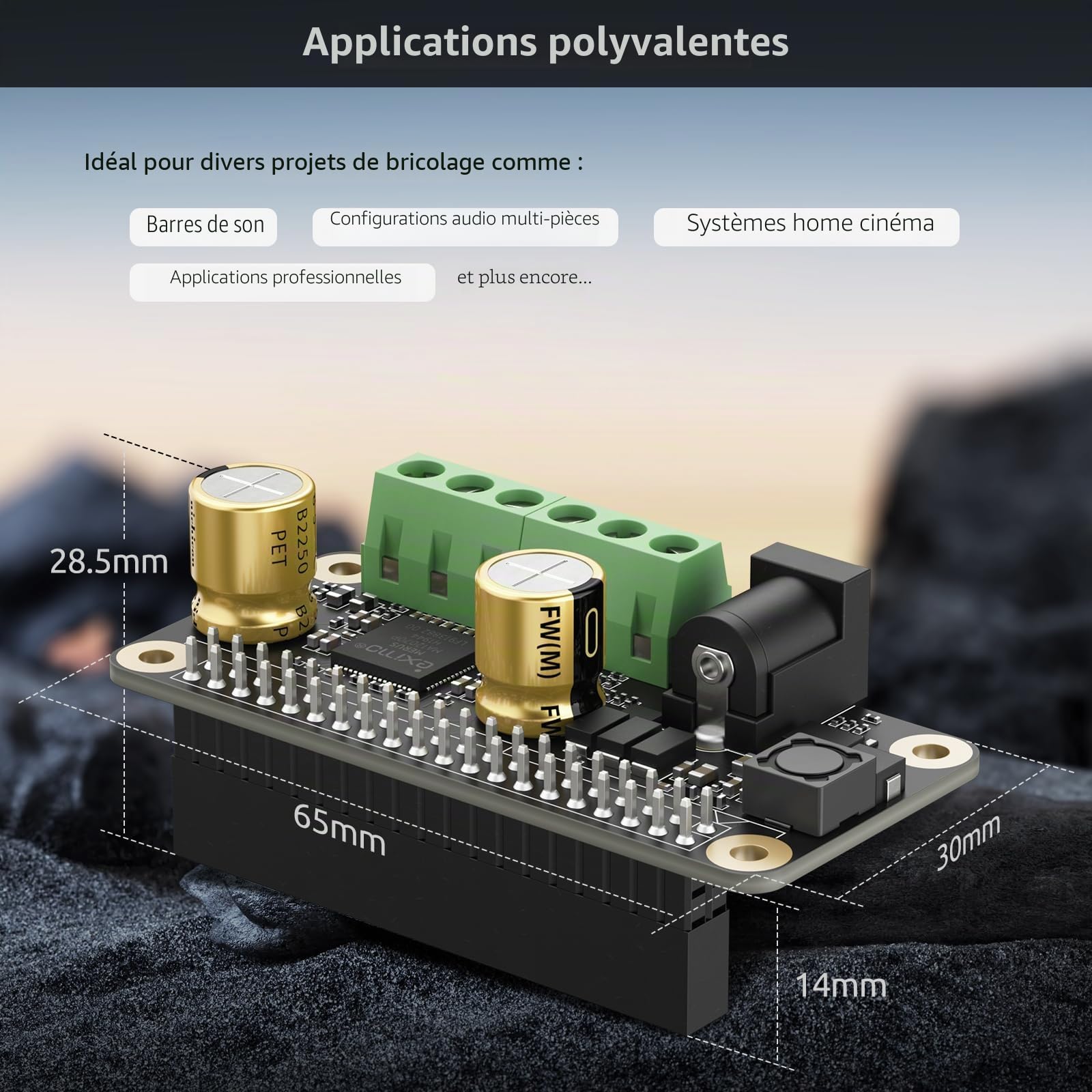InnoMaker Amplificateur audio 2 x 80 W Puissance de crête Classe D HiFi AMP Pro Mini Hat 192 kHz/24 bits MA12070P pour Raspberry Pi 5/4/Zero 2 W Prend en charge Volumio, MoOde, Raspbian, LibreELEC