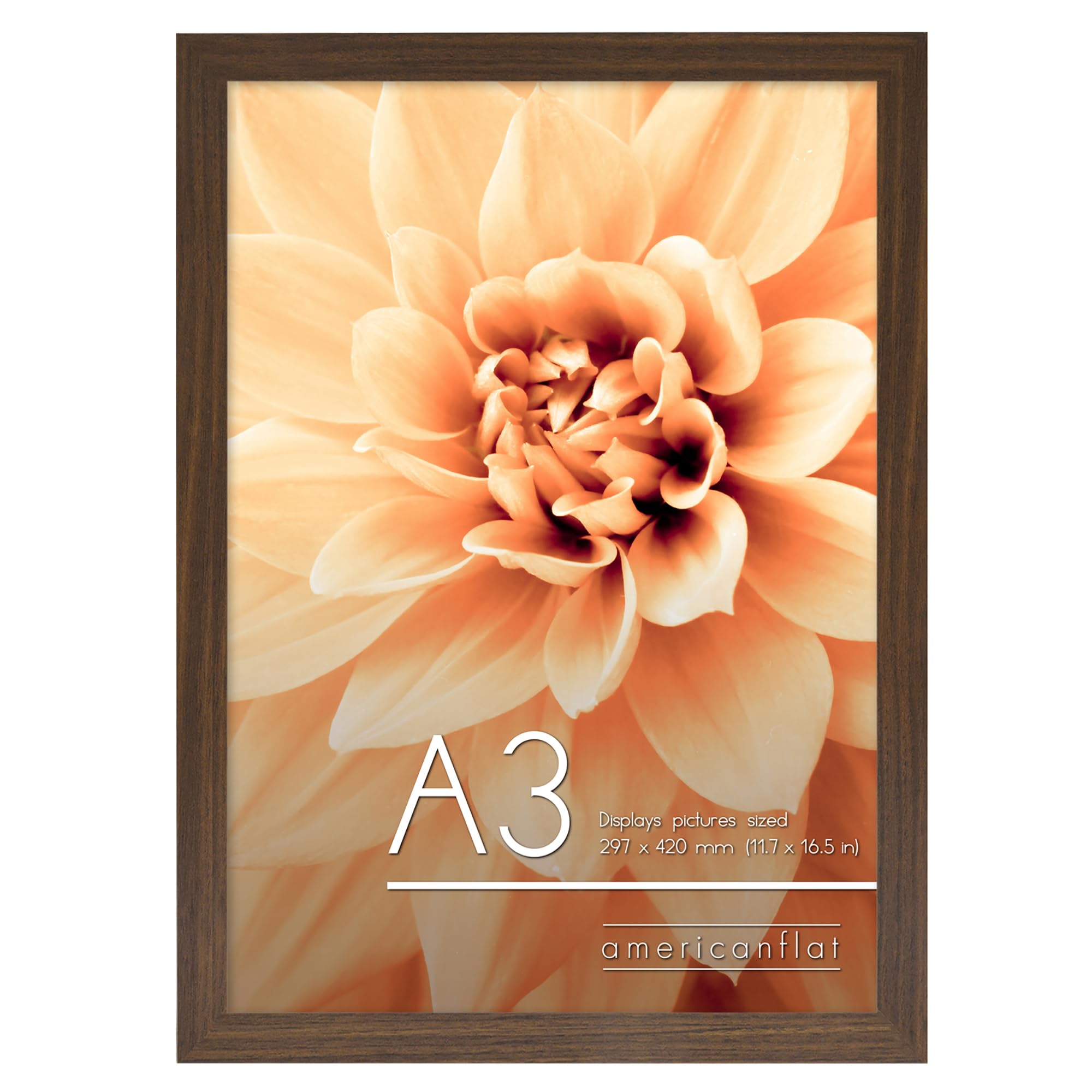 Americanflat A3 Picture Frame in Walnut - Engineered Wood with Shatter Resistant Glass - Horizontal and Vertical Formats for Wall - 29.7x42 cm
